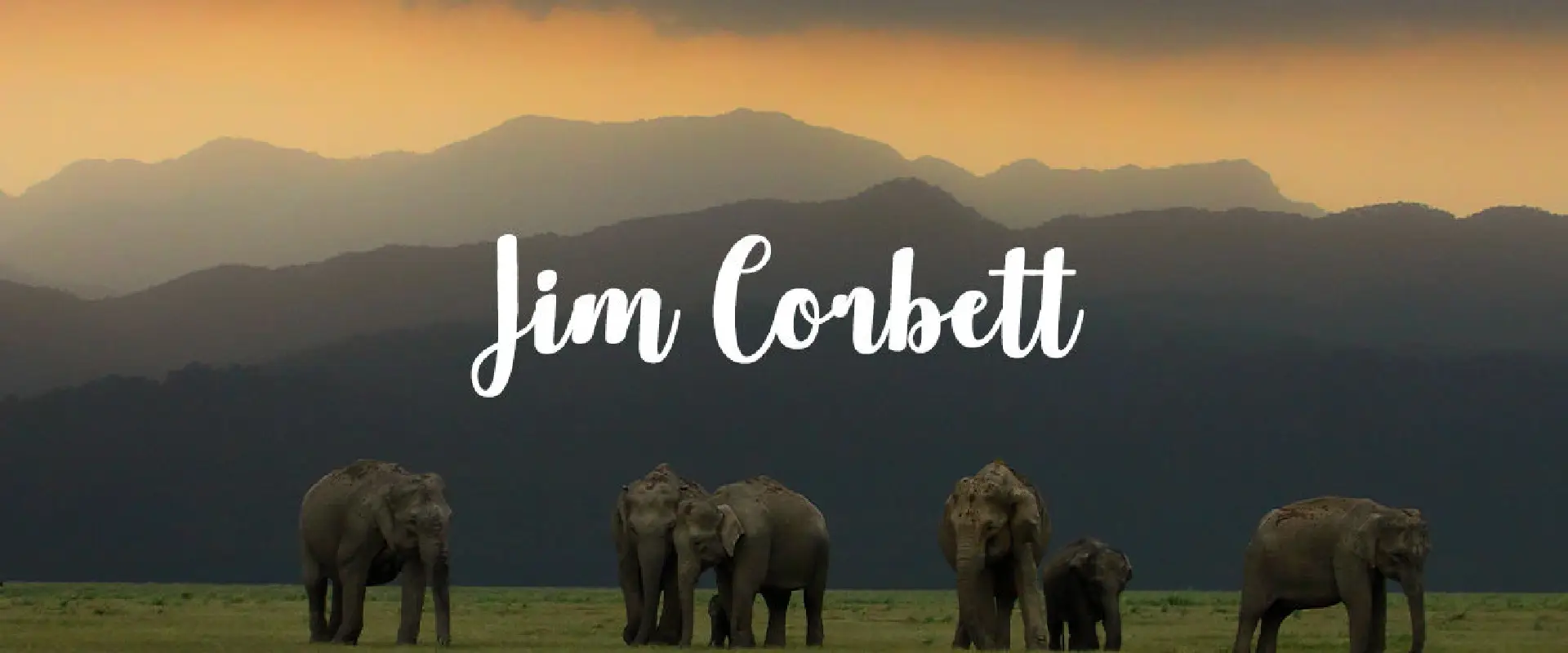 luxury Jim Corbett packages