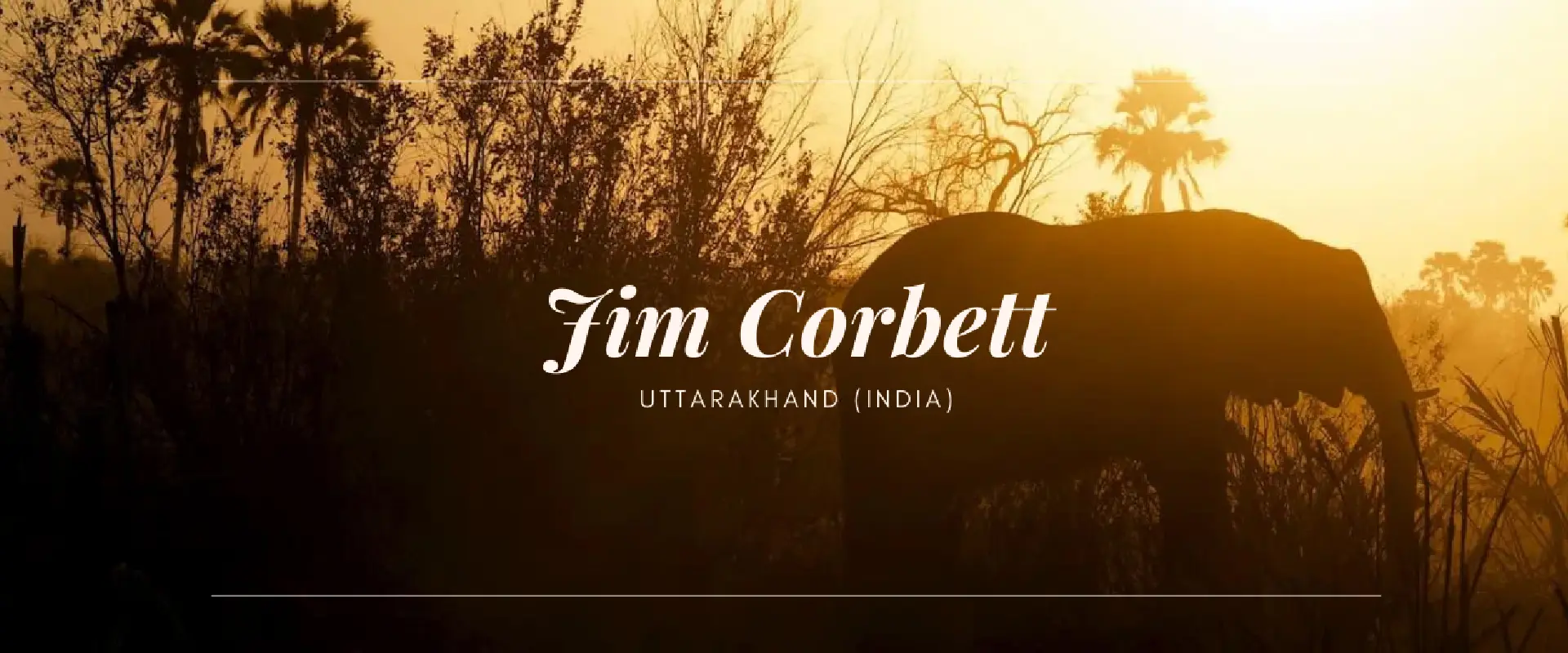 Jim Corbett cheapest tours packages for couple