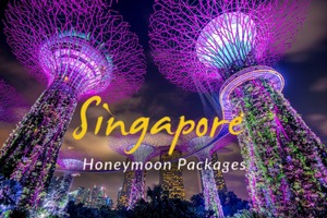 Singapore honeymoon packages