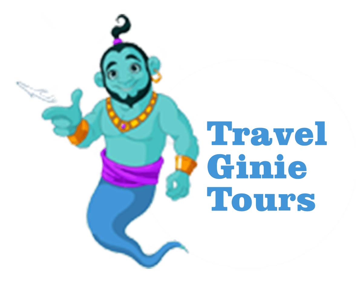 travel ginie tours